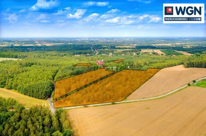 Działka na sprzedaż Dąbrowa
