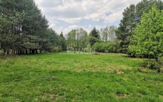 Działka budowlana na sprzedaż Dąbrowa